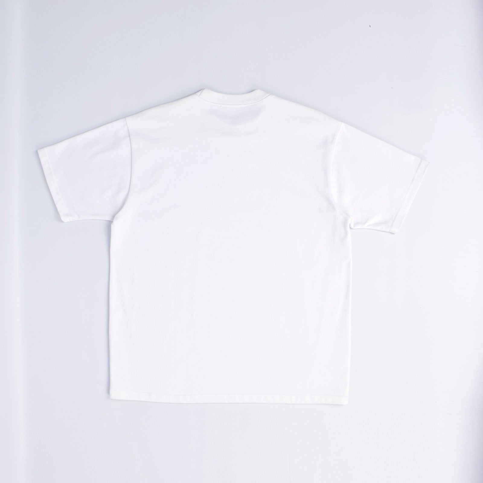 Custom Unisex Heavyweight Cotton Plain Oversized T-Shirts With Your Design